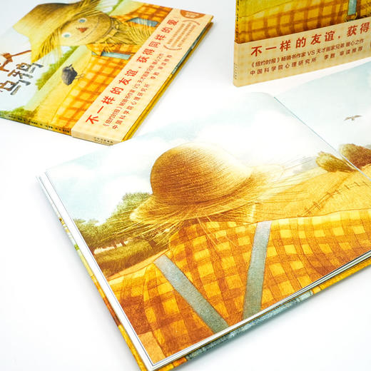 稻草人与乌鸦    二年级共读书|正版现货速发|名师推荐|小学生课外阅读2年级 商品图2