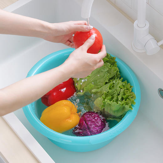 茶花惠尚深盆 商品图4