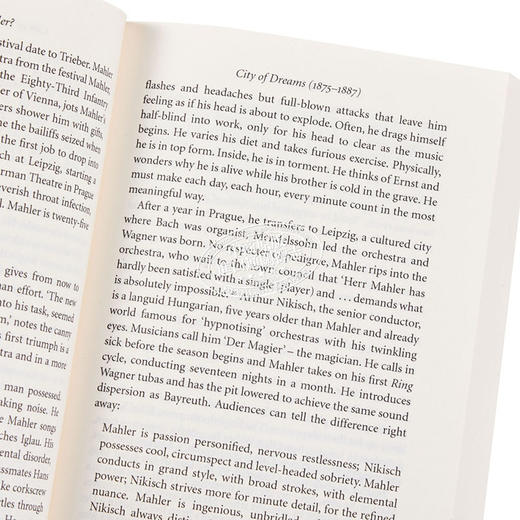 【中商原版】为什么是马勒？英文原版 Why Mahler? How One Man and Ten Symphonies Changed the World Norman Lebrecht 人物 商品图3