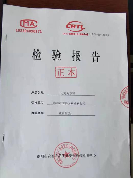 有机巧克力草莓上市了 春草莓 商品图4