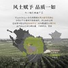 【荣获多项国际大奖】路易马西尼XO白兰地 法国进口洋酒 40%vol 商品缩略图5