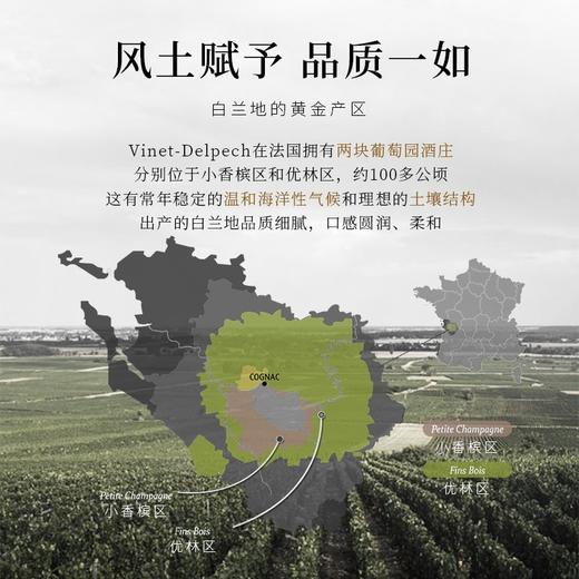 【荣获多项国际大奖】路易马西尼XO白兰地 法国进口洋酒 40%vol 商品图5