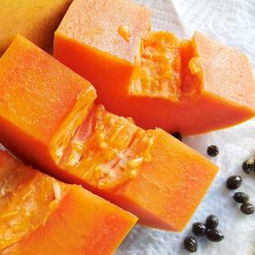 海南树上熟红心木瓜精品礼盒装 现摘现发 自然香甜