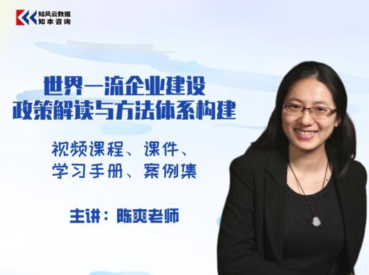 课程｜世界一流企业建设政策解读与方法体系构建 商品图0