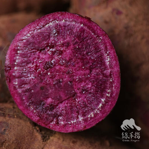 【限时优惠】生态紫薯（果子大小不一，介意慎拍） | 合作生产* Ecopurple sweet potato | Coproduction 商品图0