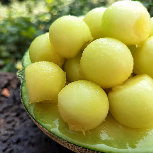 【马年新春礼盒】海南网纹瓜精品礼盒 京东发货 商品图2