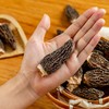 菜菜家剪柄羊肚菌|个大饱满，肉质厚实，口感清甜 商品缩略图2