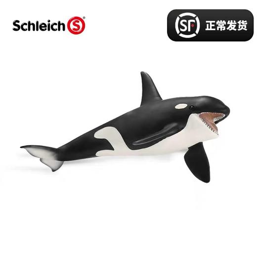 思乐 Schleich 杀人鲸 SCHC14697 Wildlife 适用年龄3Y+ 商品图1