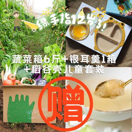 赠品·有机蔬菜包+银耳羹+稻谷壳儿童套餐（2022） 商品图0