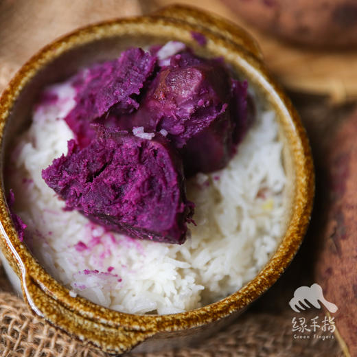 【限时优惠】生态紫薯（果子大小不一，介意慎拍） | 合作生产* Ecopurple sweet potato | Coproduction 商品图4