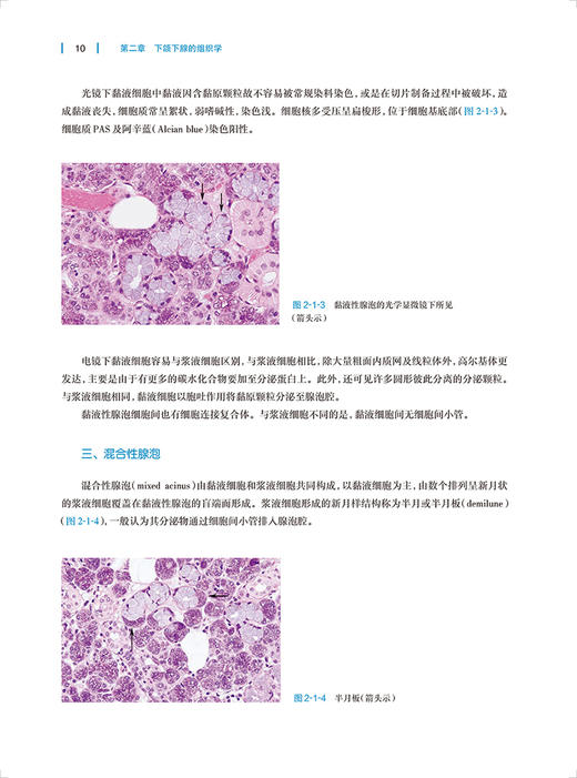 下颌下腺外科学 俞光岩主编 下颌下腺疾病影像学诊断手术治疗 移植治疗重症干眼症 口腔外科学 人民卫生出版社9787117339049 商品图4
