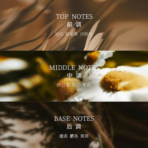 栖溪他乡系列·茉莉素心&佩兰当归 淡香水持久留香高级 商品图6