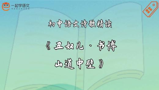 《丑奴儿·书博山道中壁》精读 商品图0