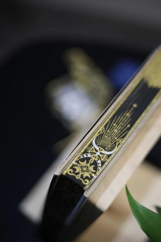 书口刷边本：《末代沙皇：尼古拉二世的最后503天》，精装，英 罗伯特.瑟维斯著，方尖碑出品，译林出版社2021年版，定价108，售价108元。 商品图5