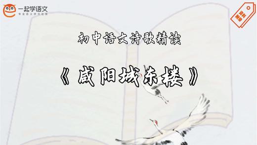 《咸阳城东楼》精读 商品图0