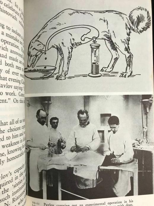 诺贝尔医学奖获得者伊万·巴甫洛夫传 34幅插图 苍鹭出版社（HeronBooks）复古仿皮精装本 商品图13