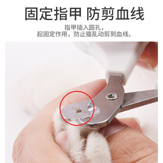 猫咪圆孔小盲剪指甲剪 不伤血线 2mm圆孔设计 新手专用 商品图3