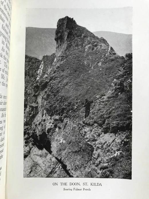 含藏书票！1926年 基尔顿《一个博物学家的朝圣》 8幅插图 漆布精装32开 商品图12