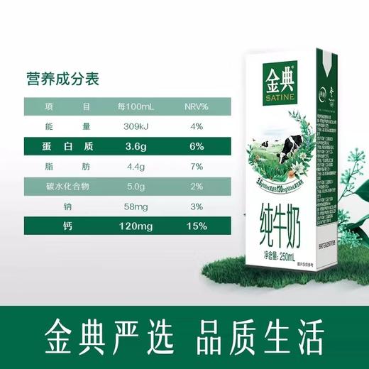 伊利 金典全脂纯牛奶250ml*12盒/箱 【FY】 【YH】 商品图2