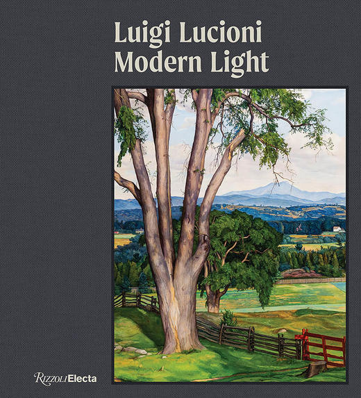 路易吉·卢西奥尼 艺术作品集 现代之光 英文原版 Luigi Lucioni: Modern Light 商品图0