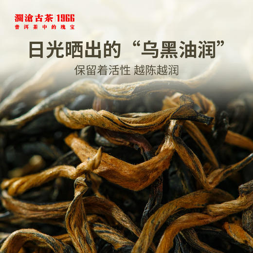 澜沧古茶茶妈妈古树晒红茶云南红茶单罐250g 1罐 商品图2