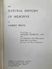 含藏书票！1902年 塞耳彭自然史 123幅插图 漆布精装32开 商品缩略图4