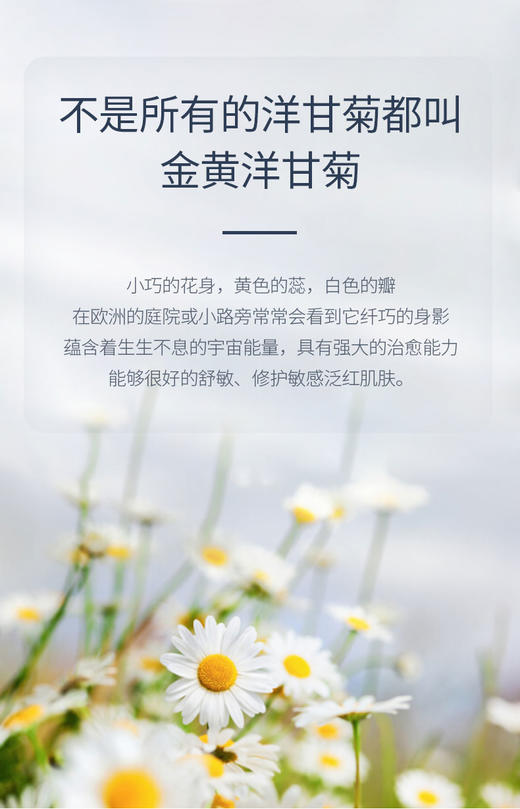 温和不刺激 洁净不紧绷  优荃洋甘菊氨基酸洗面男女洁面膏 50克/100克装 商品图6