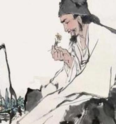 肖道长答疑和回答各种疾病问题 商品图0