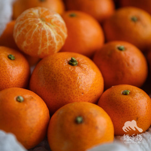 生态金秋砂糖橘| 合作生产 *Ecological Sugar Orange | Coproduction 商品图3