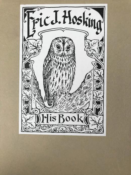 含藏书票！1950年 荷兰的种鸟 13幅摄影插图1幅地图 布脊精装18开 商品图2