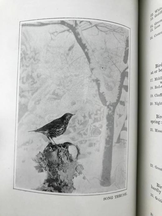 含藏书票！1902年 塞耳彭自然史 123幅插图 漆布精装32开 商品图6