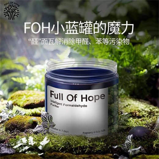 fullofhope/希望树 除甲醛果冻魔盒4罐（送除醛喷雾4瓶）[福利品] 商品图1