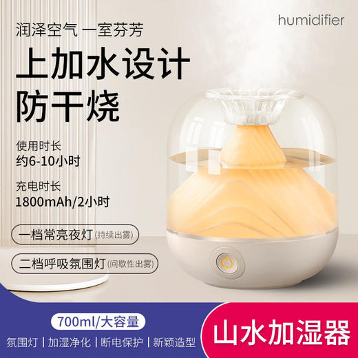 空气加湿器卧室家用静音大容量喷雾孕妇婴儿内空气净化恒湿净化器 商品图2
