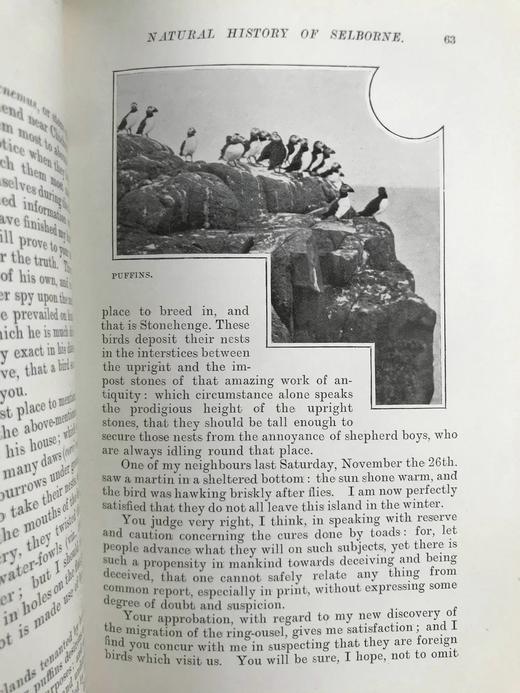 含藏书票！1902年 塞耳彭自然史 123幅插图 漆布精装32开 商品图14