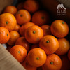 生态金秋砂糖橘| 合作生产 *Ecological Sugar Orange | Coproduction 商品缩略图5