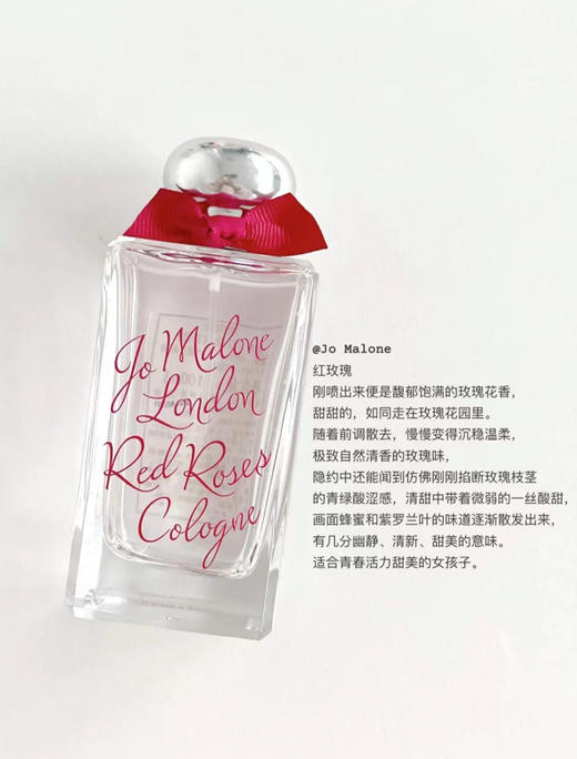 祖马龙-🌹 红玫瑰（限定款） 商品图3
