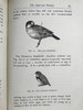1891年 最喜爱的外国鸟类 38幅插图 漆布精装32开 商品缩略图5