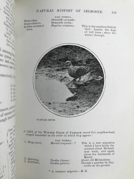 含藏书票！1902年 塞耳彭自然史 123幅插图 漆布精装32开 商品图7