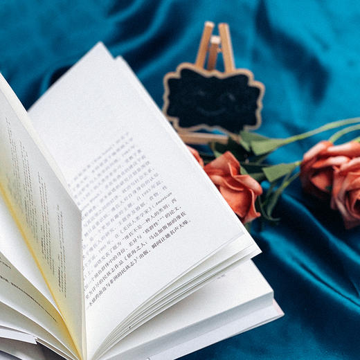 依海之人 马达加斯加的维佐人 一本横跨南岛与非洲的民族志 商品图8