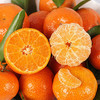 【补充维C】沙糖桔 1000g/份 商品缩略图1