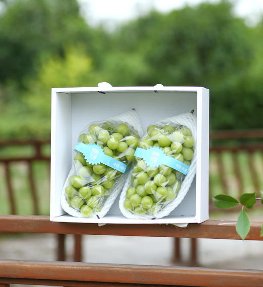 金冠阳光玫瑰葡萄 商品图8