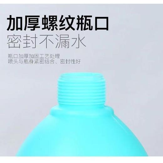 手动气压式浇花喷壶洒水壶浇水壶园艺工具喷雾器小胶圈壶家用消毒2升 商品图2