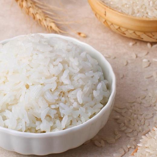 黑龙江五常核心产区 | 没想稻·五常大米 稻花香 米饭更香 食材 2规格入 商品图2