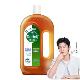 滴露（Dettol）消毒液衣物消毒水 除螨  家居宠物环境消毒