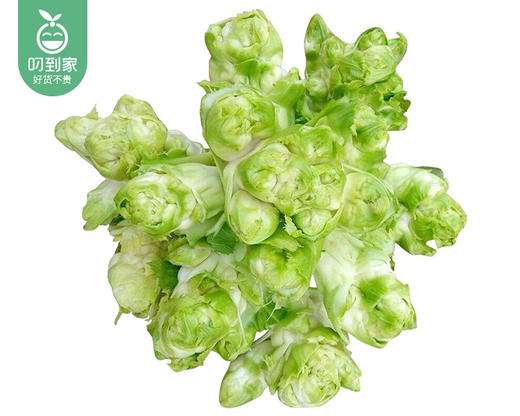 四川霜打新鲜小儿菜/1份（约500g） 商品图4