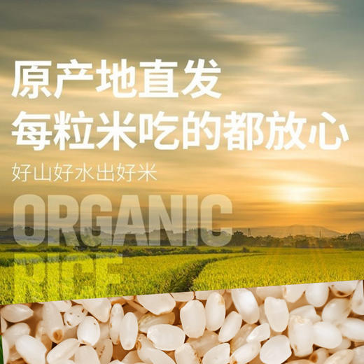 有机鲜稻米10斤（珍珠胚芽米） 商品图10