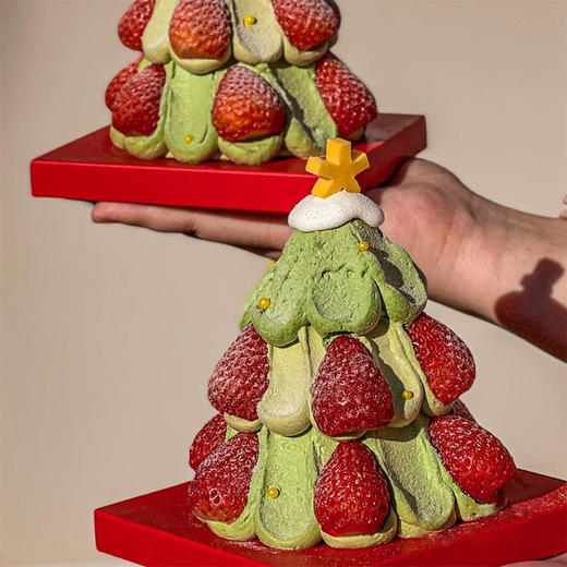 圣诞开心果树 商品图1