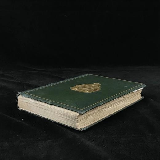 1899年 圣母玛利亚传奇 192幅版画插图 漆布精装大32开 商品图1