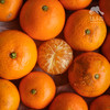 生态金秋砂糖橘| 合作生产 *Ecological Sugar Orange | Coproduction 商品缩略图0
