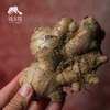 生态肉姜  | 合作生产 * Ecological Ginger  | Coproduction 商品缩略图4